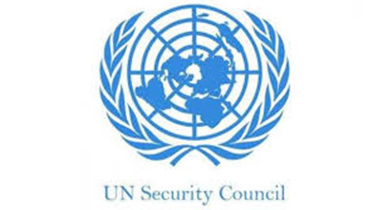 UNSC web.jpg