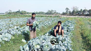 Nilganj-union.jpg