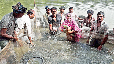 fish-farming.jpg