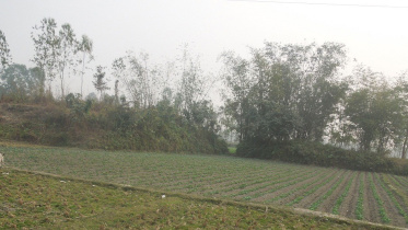 archaeological-site-Nilphamari.jpg