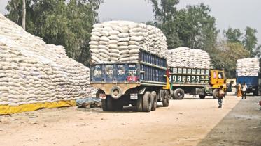 fertiliser_0.jpg