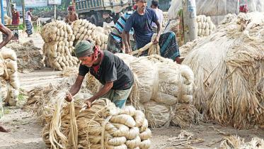 jute.jpg