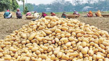 food-security-post-pandemic-bangladesh (1).jpg