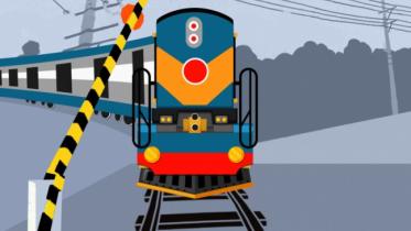 train_37.jpg