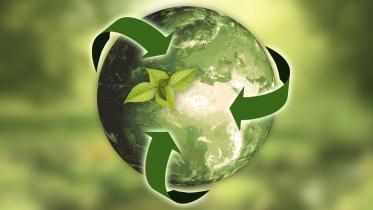 incentivise-sustainability.jpg