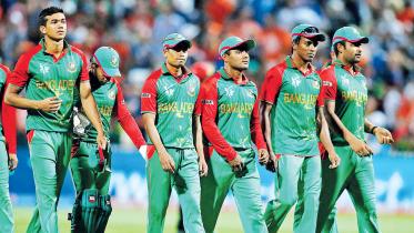 cricket-2.jpg