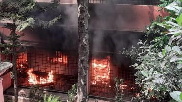 bbaria_fire_3.jpg