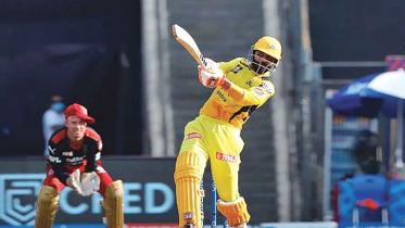 jadeja.jpg