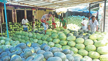 watermelons.jpg