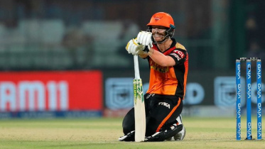 David Warner.jpg