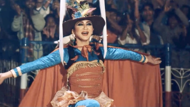 Beauty Circus.jpeg