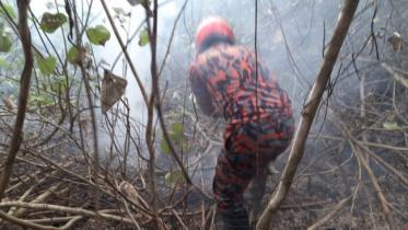 fire-sundarbans.jpg