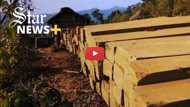 Bandarban_woodcutting_web.jpg