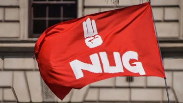 nug_0.jpg