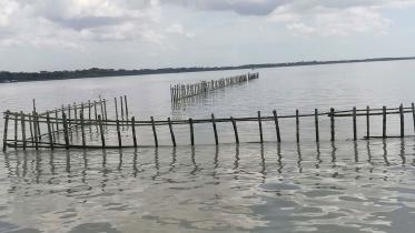 Bamboo-fence-Bargunas-Amtali.jpg
