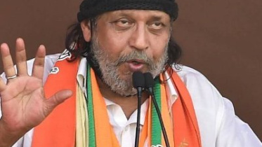 Mithun.jpg