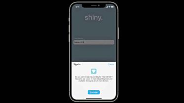 shiny.jpg
