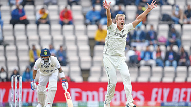 nz-crash-india.jpg