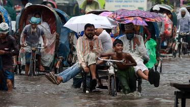 Rain_Anis_1 web.jpg
