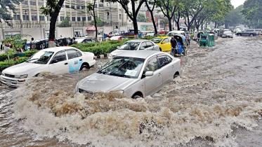 rainfall.jpg