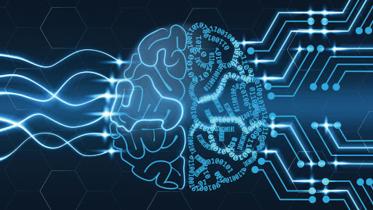 brain-network-signature.jpg