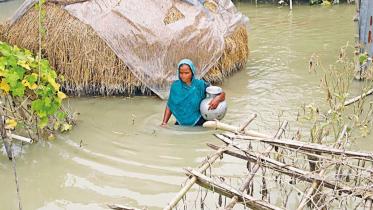 climate-adaptation.jpg
