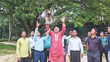 27 birds released.jpg