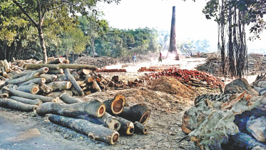 A brick kiln.jpg