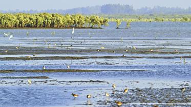 A conservation effort spanning borders