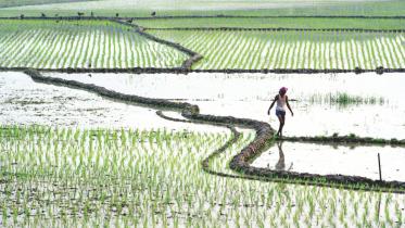 A country of famished farmers.jpg