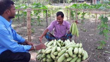 A farmer.jpg