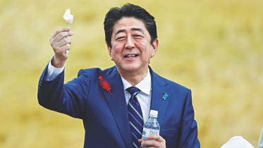 abe.jpg