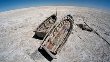 adaptation-climate-change.jpg