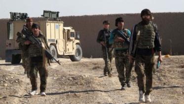 afghan-wb.jpg