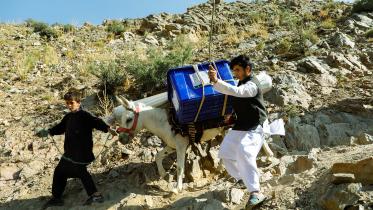 Afghan vote.jpg