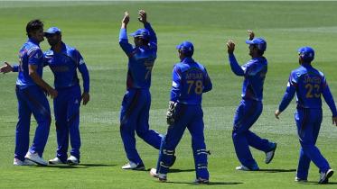 Afghan player celebrate a wicket