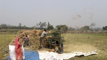 agriculture.jpg