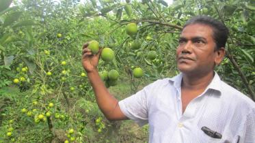 Amalesh Roy.jpg