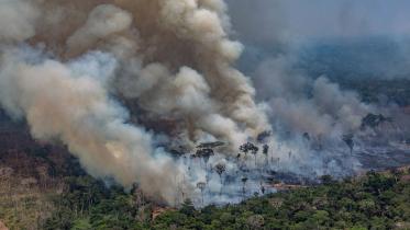 Amazon-fire.jpg