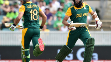 amla faf.jpg