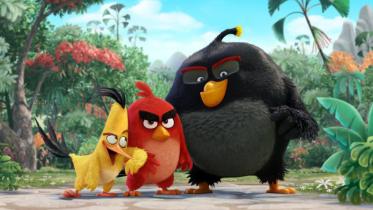 angrybird