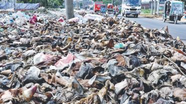 animal wastage.jpg