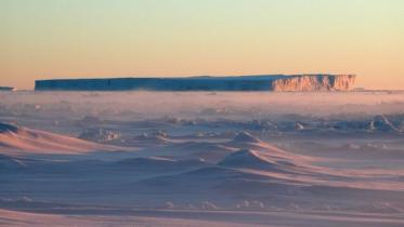 Antarctic-1WB.jpg