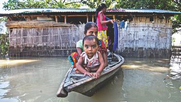 Assam..jpg