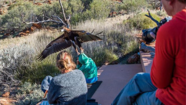 Aus Eagle_BBC.jpg