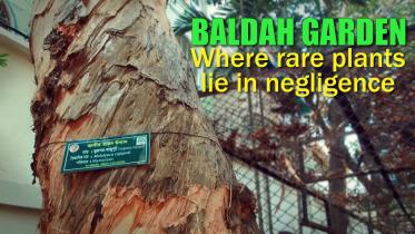 Baldah-garden.jpg