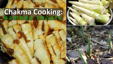 Bamboo-CookingWB.jpg