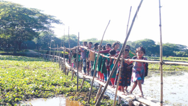 bamboo bridge.jpg