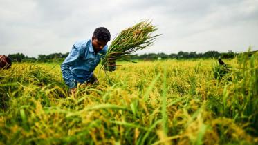 Bangladesh is among the 5 fastest economies in the world 