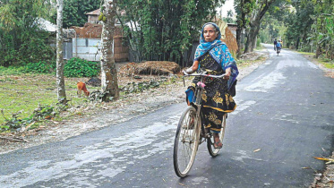 Banglar-NaniWB.jpg